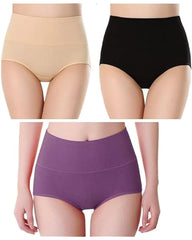 Women's Seamless Underwear for Women (Multicolor) (Pack of 4)