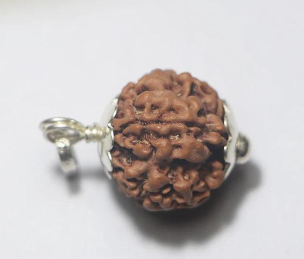 Divine 1 Mukhi (Face) Rudraksha