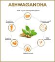 Ashwagandha Capsule for Stamina, Power & Timing for Men